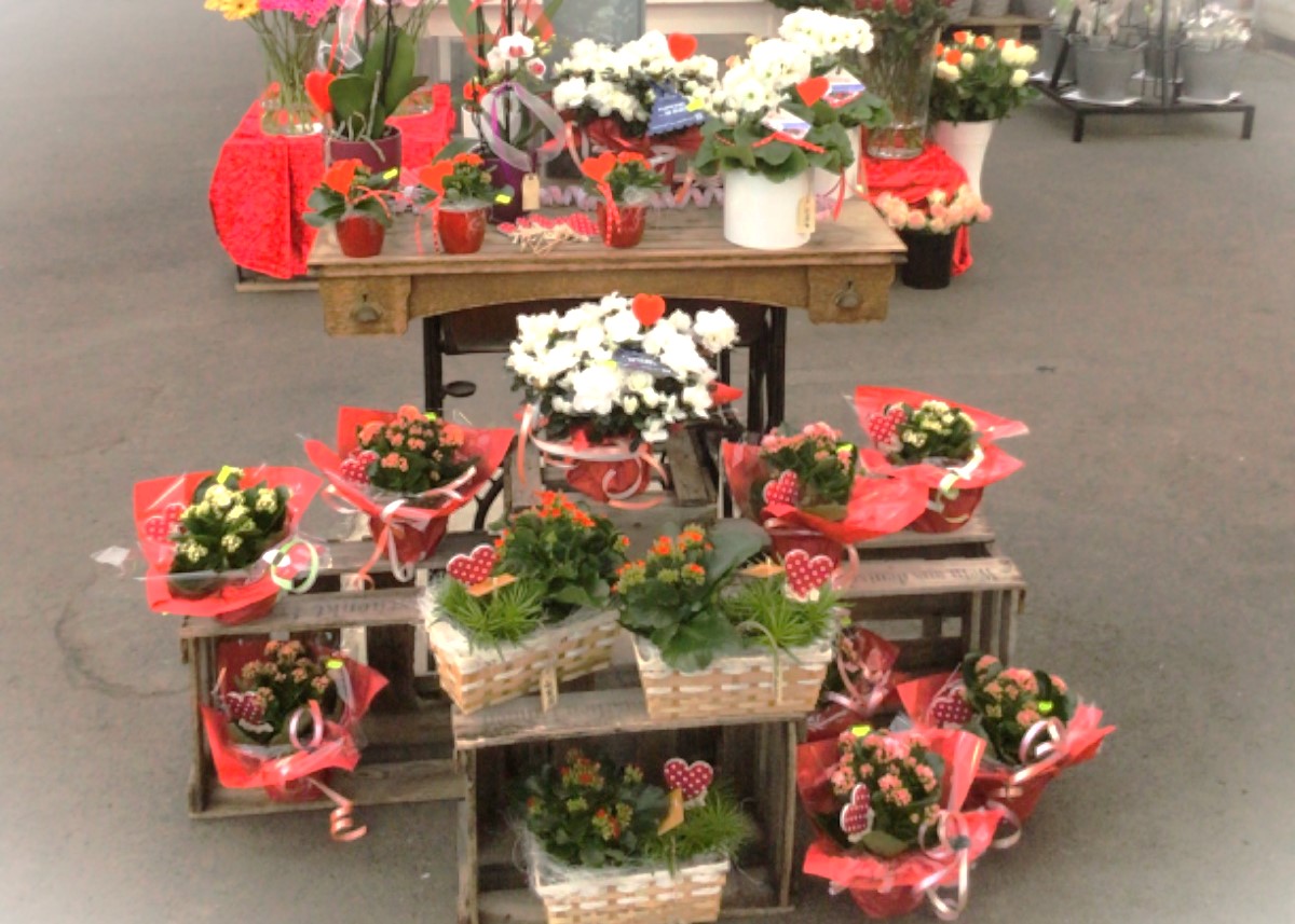Valentinstag im Monheimer Blumenmarkt